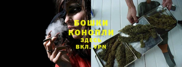 соль ск Верхний Тагил
