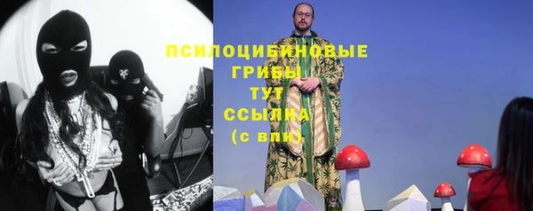 соль ск Верхний Тагил
